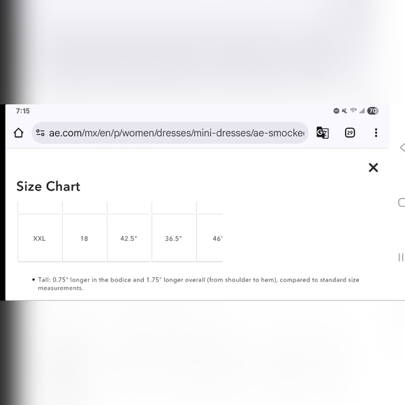 American Eagle Smocked Pink Button-Front Polo Mini Dress - XXL - Picture 14 of 14